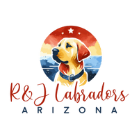 R&J Labradors