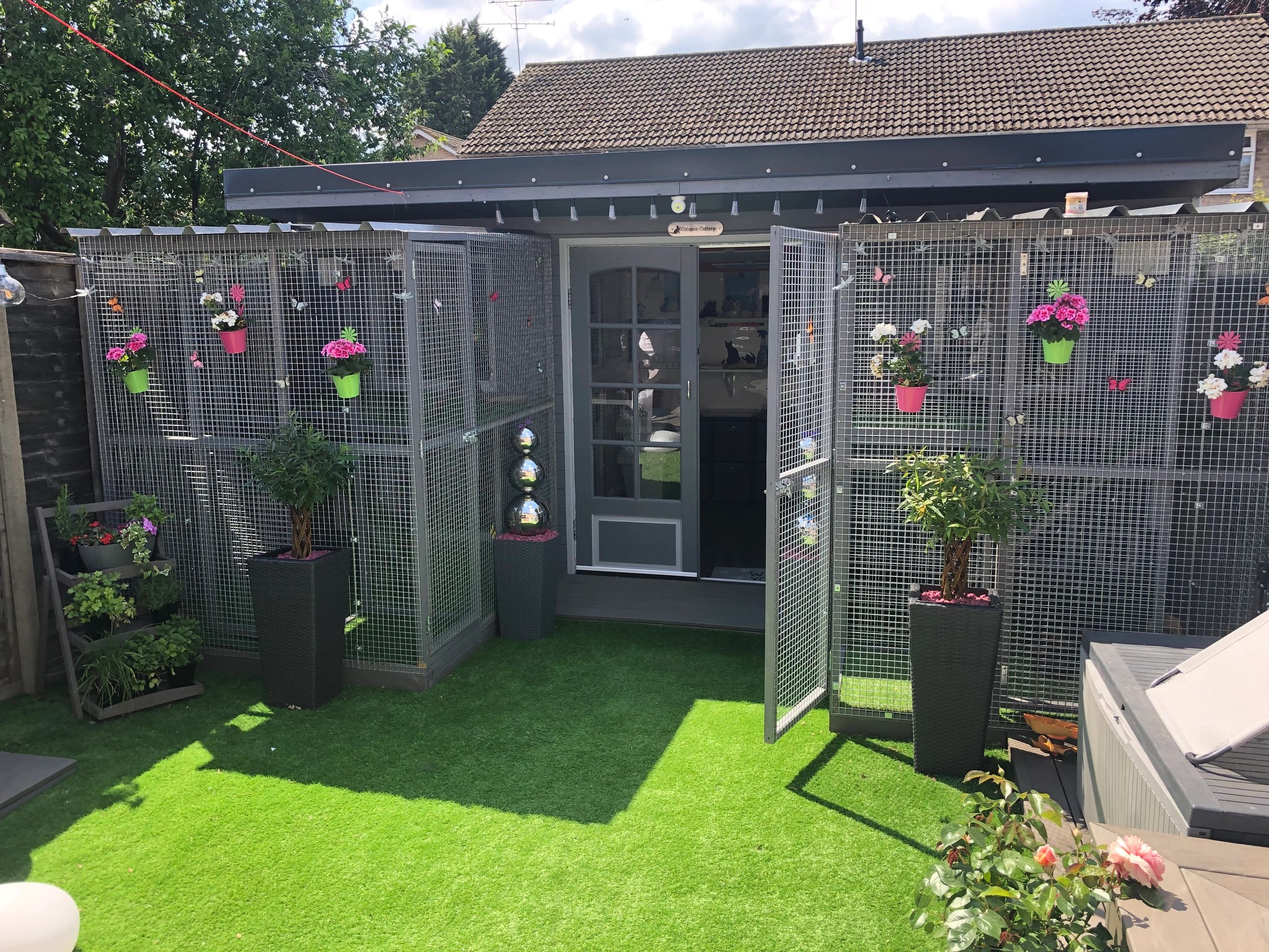 Catopia Deluxe Cattery