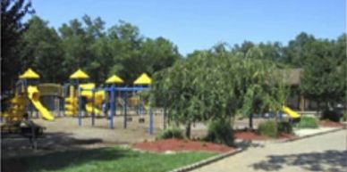 Lacey Rotary donated playground equipment