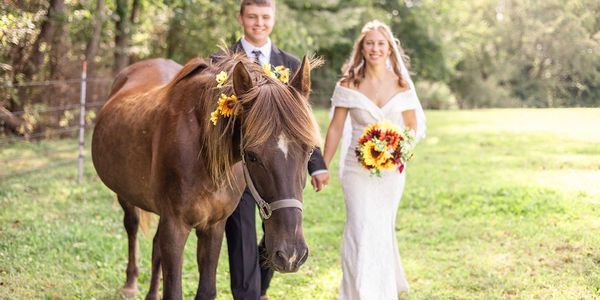 Bride and groom walking with a decorated horse in a sunny outdoor setting.