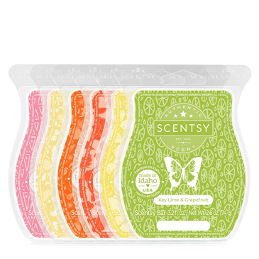 6 Scentsy Bars
