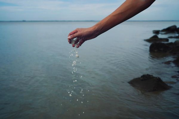Return of sweet salt into the sea at Pattani Bay