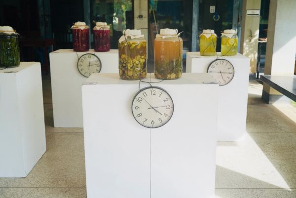 Installation of clocks fuelled by fermentation jars