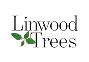 Linwood Trees