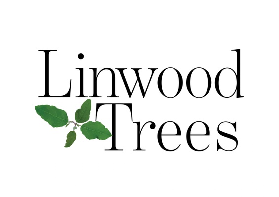 Linwood Trees