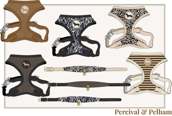 Stylish dog harnesses and collars with animal prints and stripes.