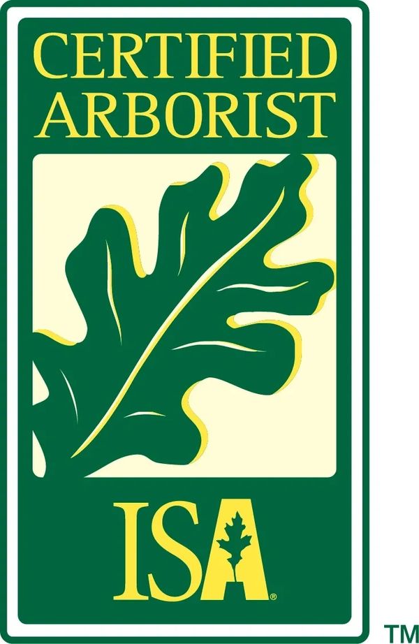 Certified Arborist Cleveland, Bay Village, Westlake, Avon, Avon Lake