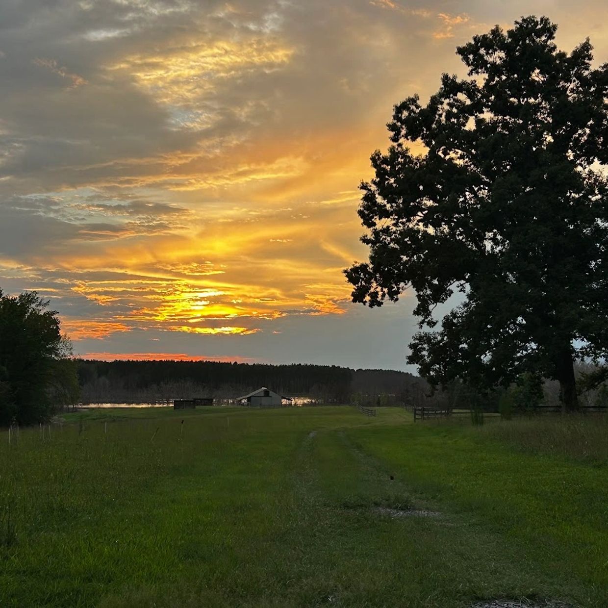 Sunset over a green field with trees and a barn.