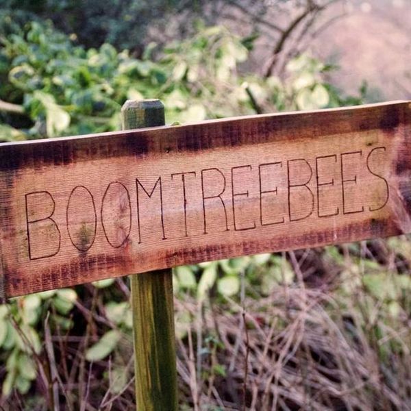 Boomtreebees Ltd
