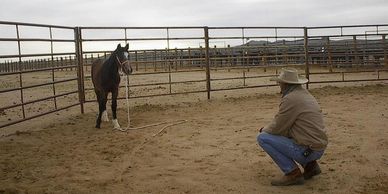 John Saint Ryan working with a young horse in the round pen.  John is crouched down. 