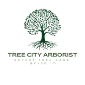 Tree City Arborist