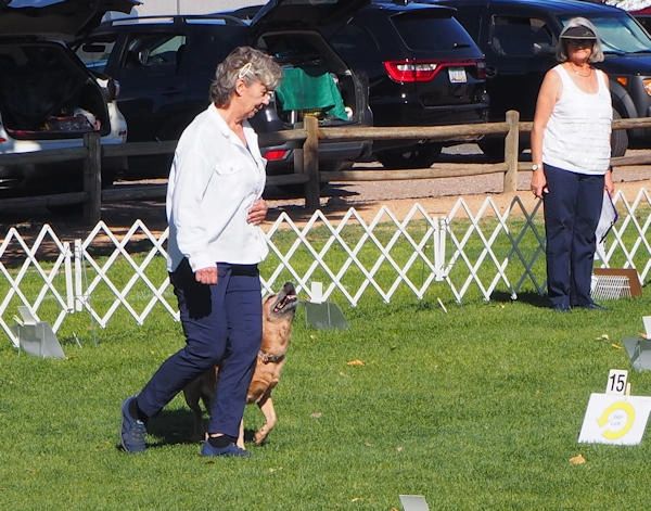 Chino Valley Canine Training Club