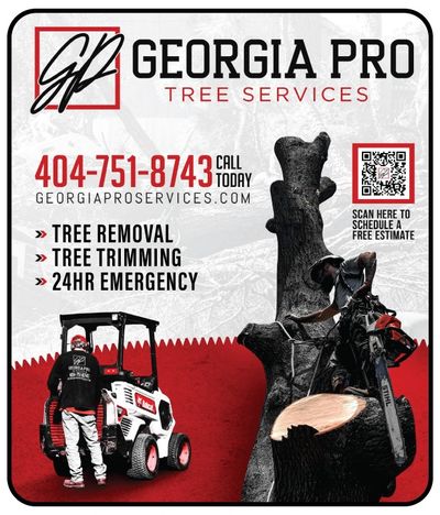 Tree Services McDonough Georgia Pro