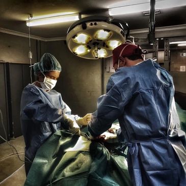 Specialist Equine Veterinary Surgeon John Russell