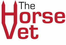 The Horse Vet