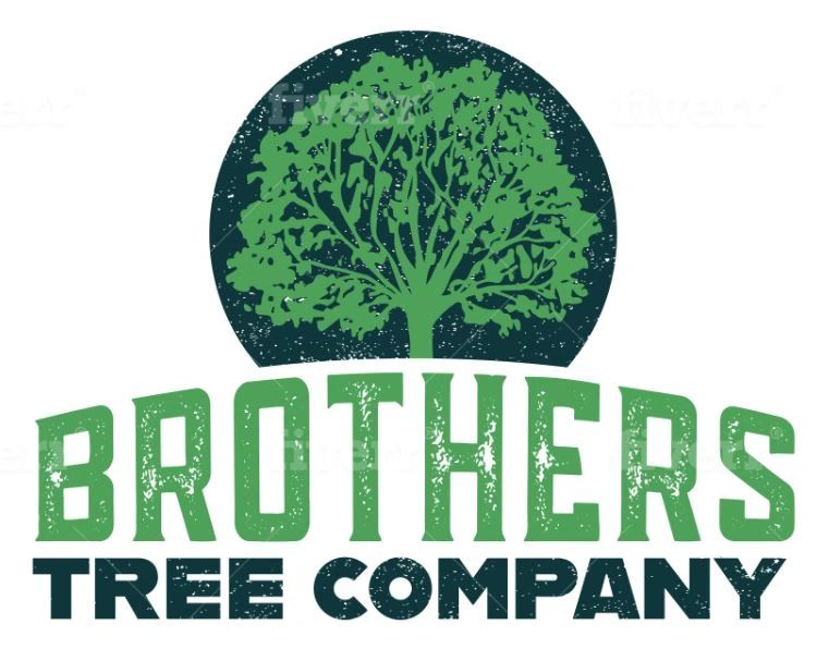 Brothers tree company. Tree service, tree removal, tree trimming, Oakland, Livingston, Genesee