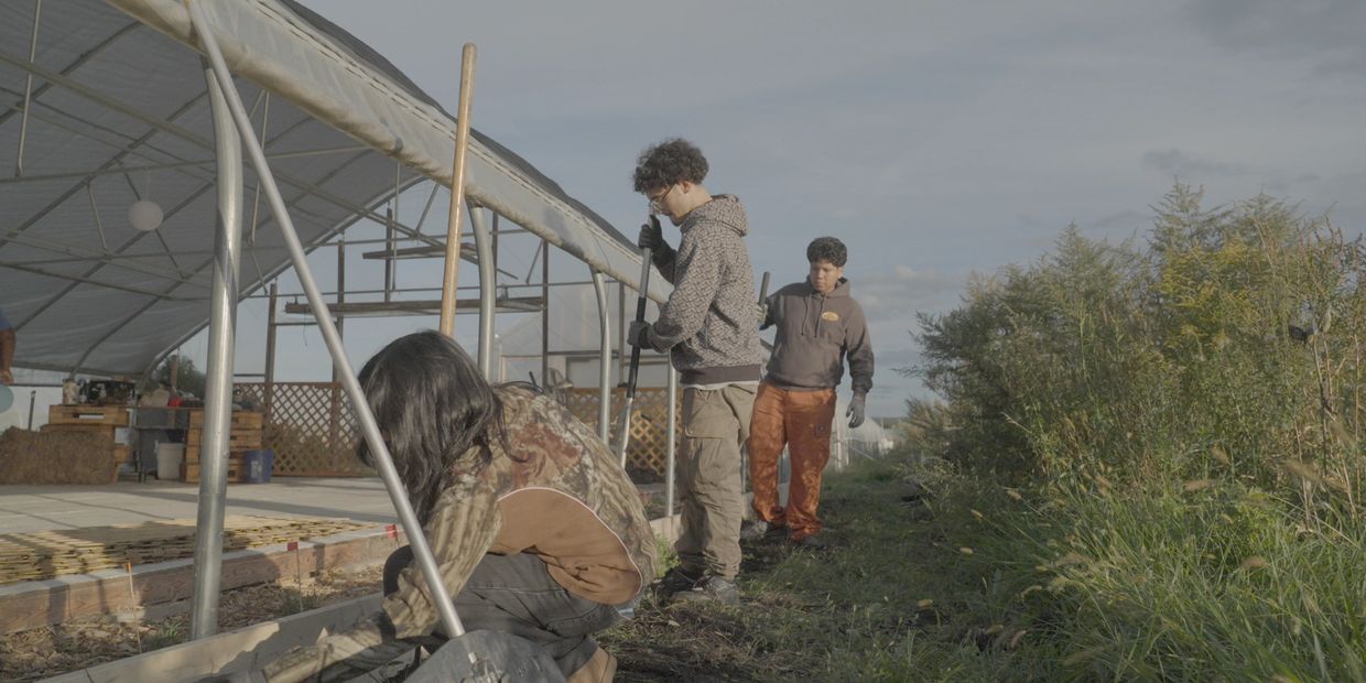 Three people working together on a gardening or farming project near a greenhouse.