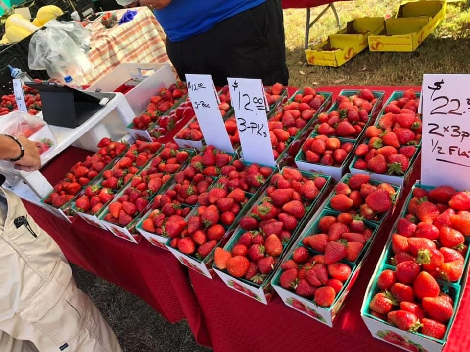 2025 Bullhead City Spring Farmers Market