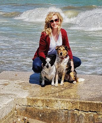 Professional Dog Trainer Pawsible K9 Dog Training