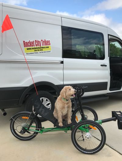 Ellie the wonder dog... enjoys the Greenspeed Hand Magnum (or paw magnum).
