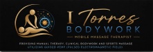 itorresbodywork.com