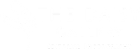 The Daisy Gallery