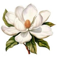 Magnolia Heat and Air