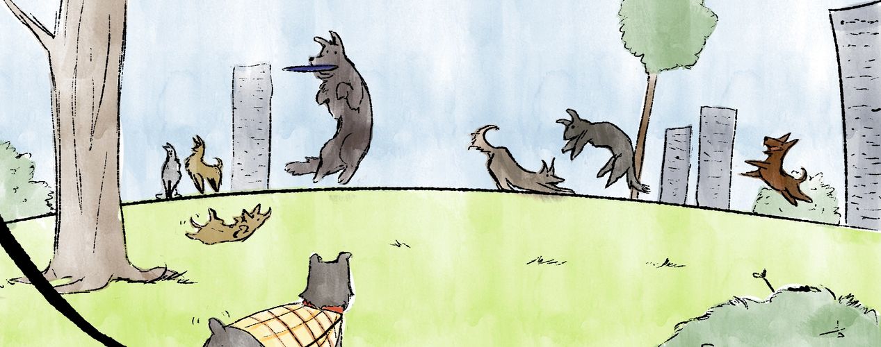 Montgomery Schnauzer, PI, dog detective
