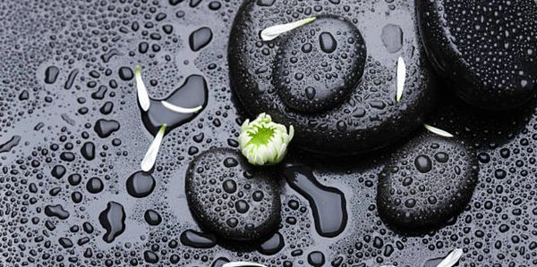 Wet black stones with water droplets and white flower petals.