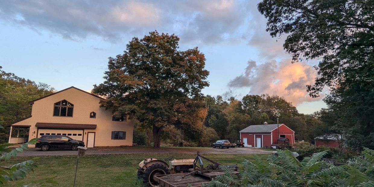Wide shot of a yellow house, large maple tree, and a red barn under a blue sky with large clouds. 