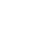 THE LYNIX