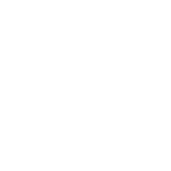 THE LYNIX