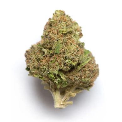 Gelato THCA Flower Buy wholesale THCA flower online cheapest and best quality THCA Flower