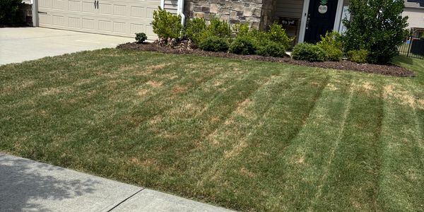 This is one of yards we take care of .