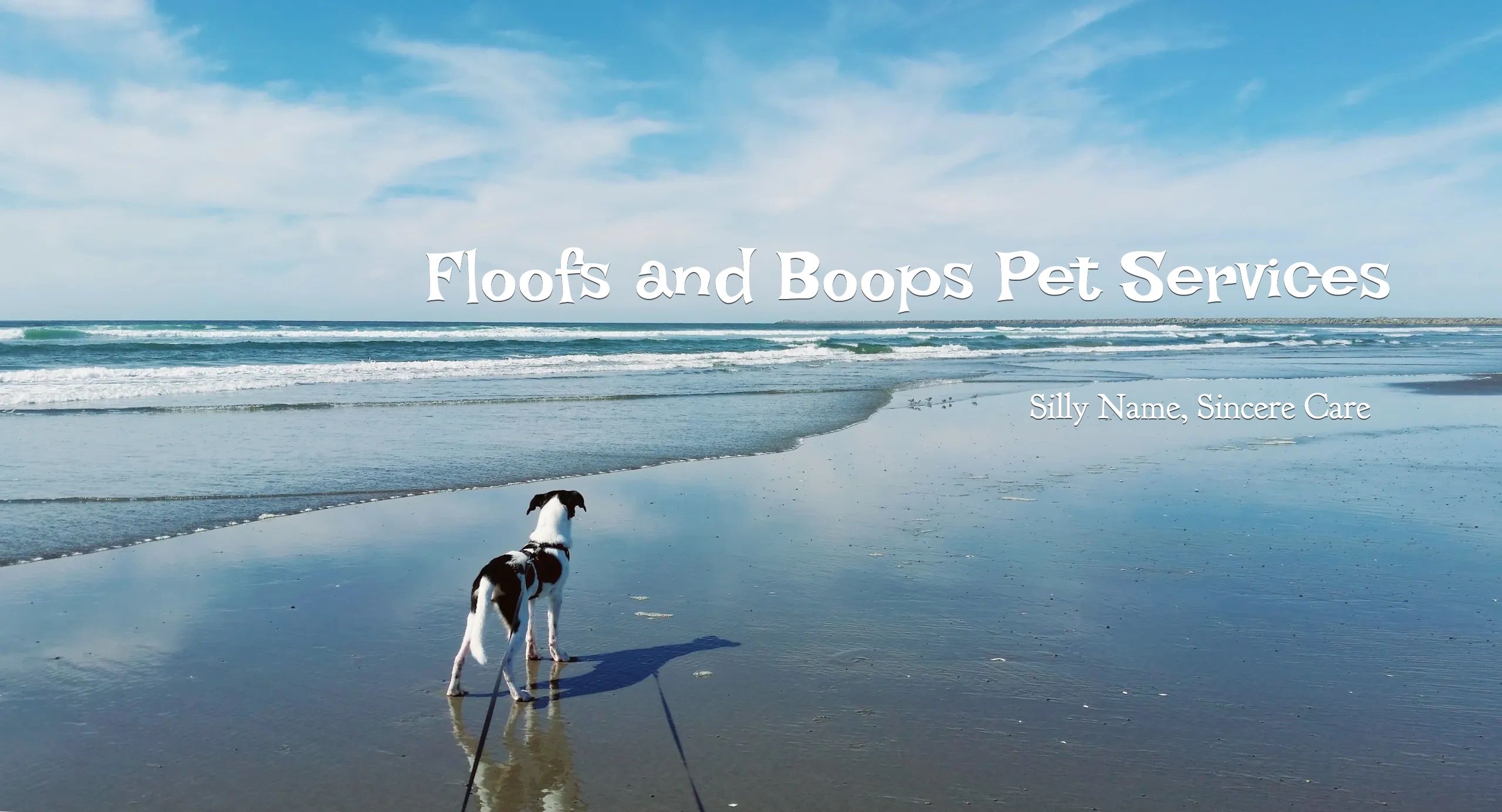 Floofs and Boops Pet Services Pet Sitting, Pet Transportation