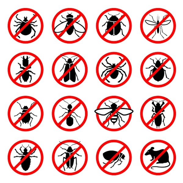 No insects or rodents symbols with red prohibition signs.