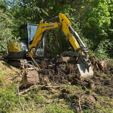 Yellow excavator working on clearing land in a forested area.
