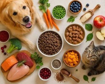 Happy dog and cat with healthy food and ingredients.
