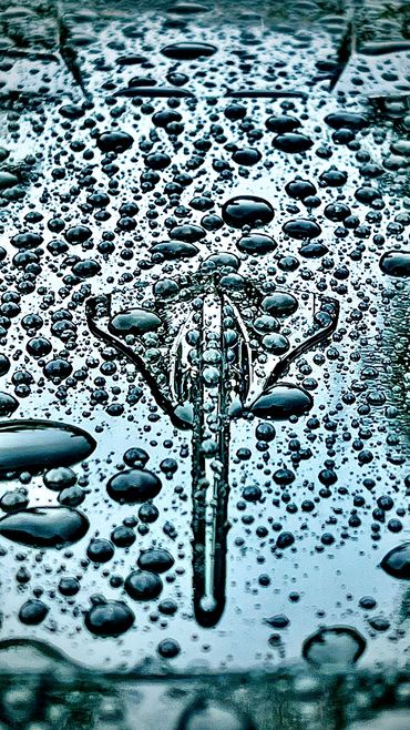 Water droplets on a reflective surface with a dragonfly pattern.