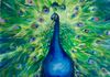"The Peacock"  Oil on Canvas  39x27"