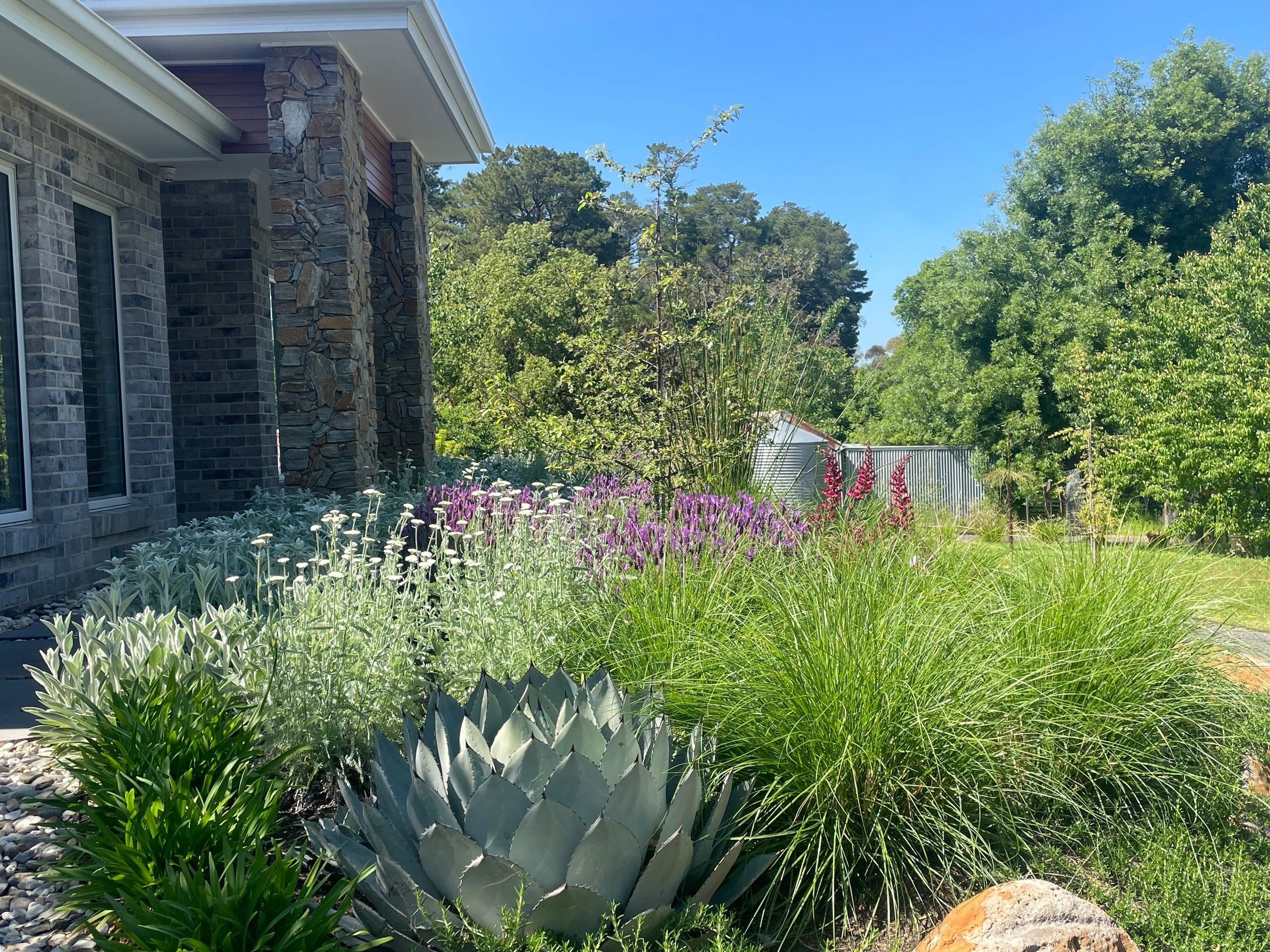 Stone house with garden and succulents under a clear sky.