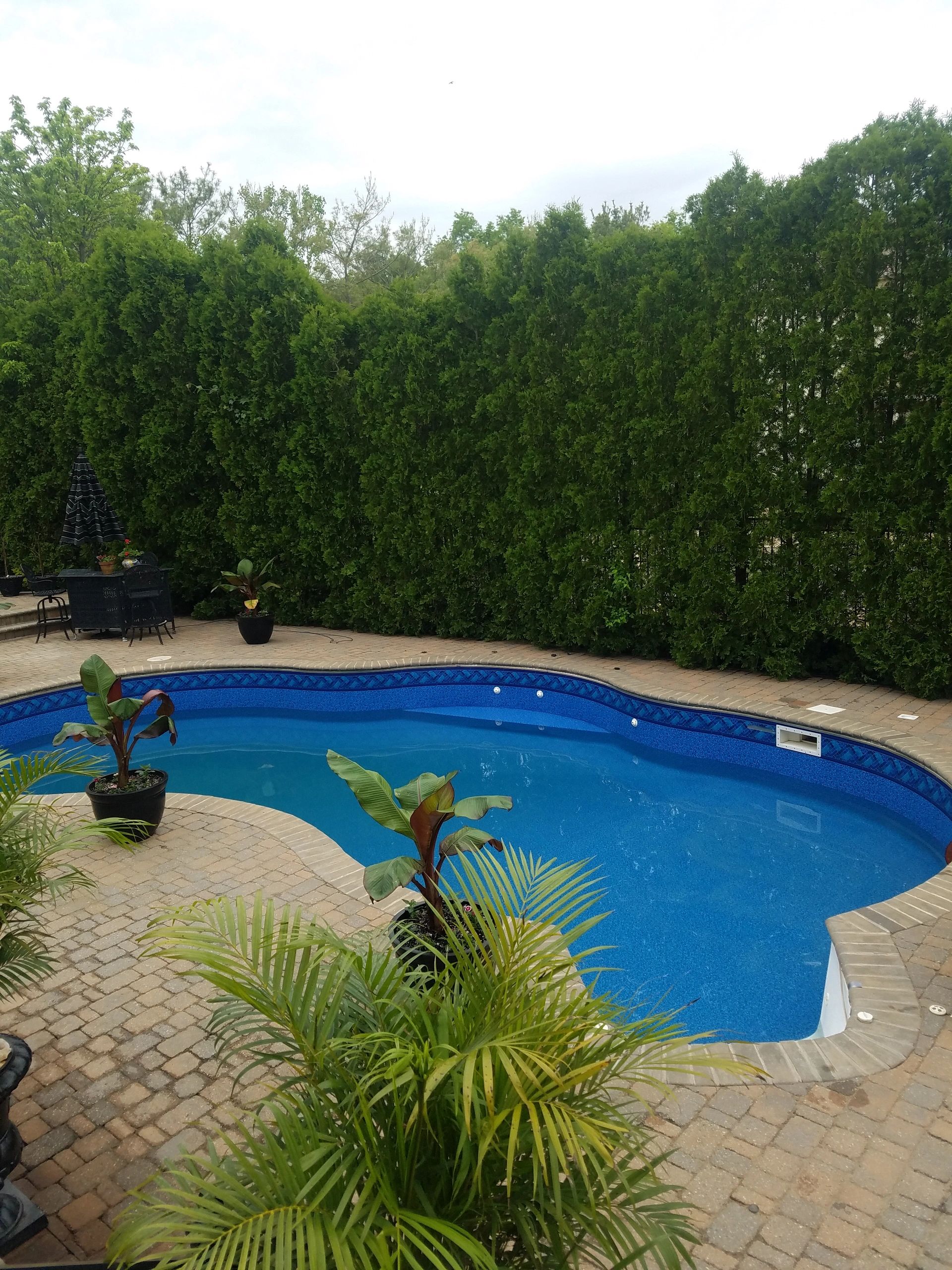 mingo pool mingo pool