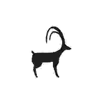 image2760