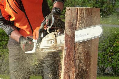 Forestry First Aid training. FAW+F. EFAW+F.
