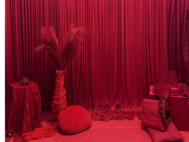 valentines photography background