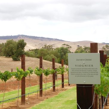 Winery