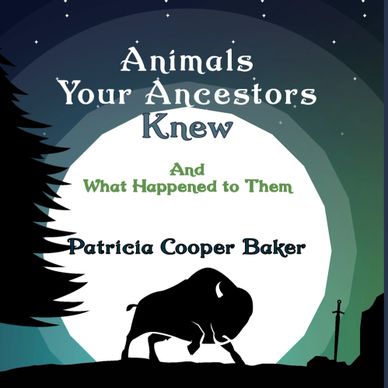 Book cover showing a bison silhouette under a moonlit sky with the title and author name.