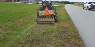Lawn Overseeding