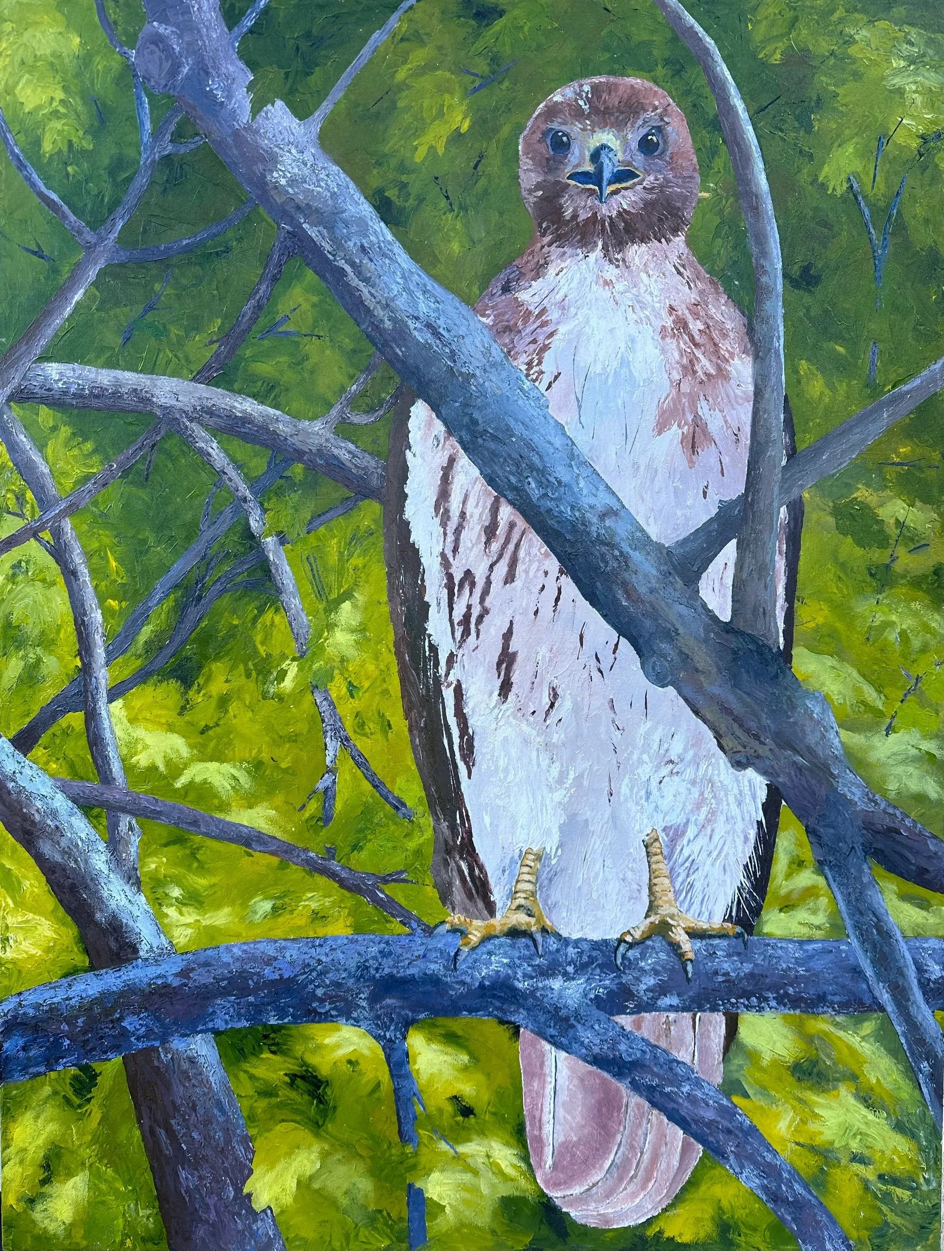 The Highland Hawk - 36" x 48"
Acrylic on Canvas - Private Collection
