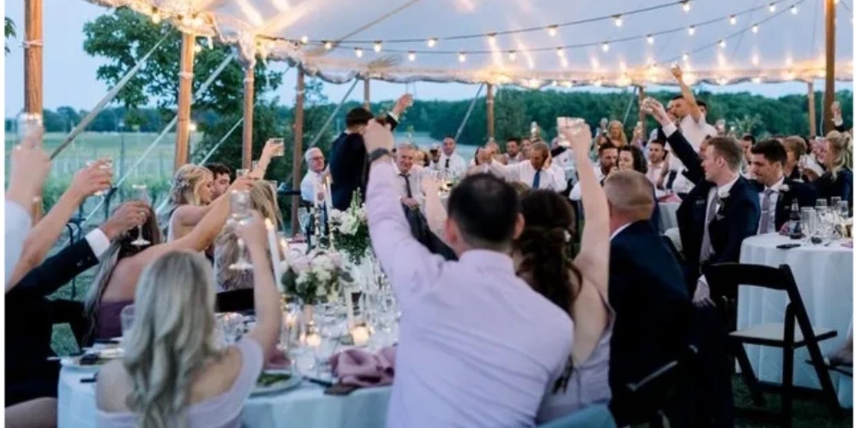 Wedding guests raise glasses under string lights for a toast outdoors.